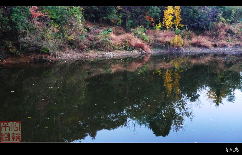 l1390453.jpg