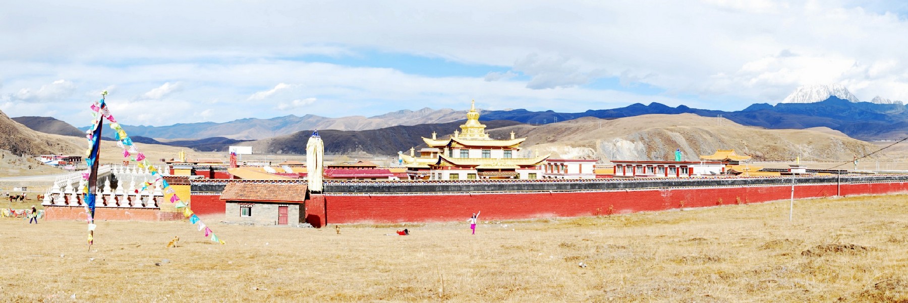 neo_img_全景图 9_conew1.jpg