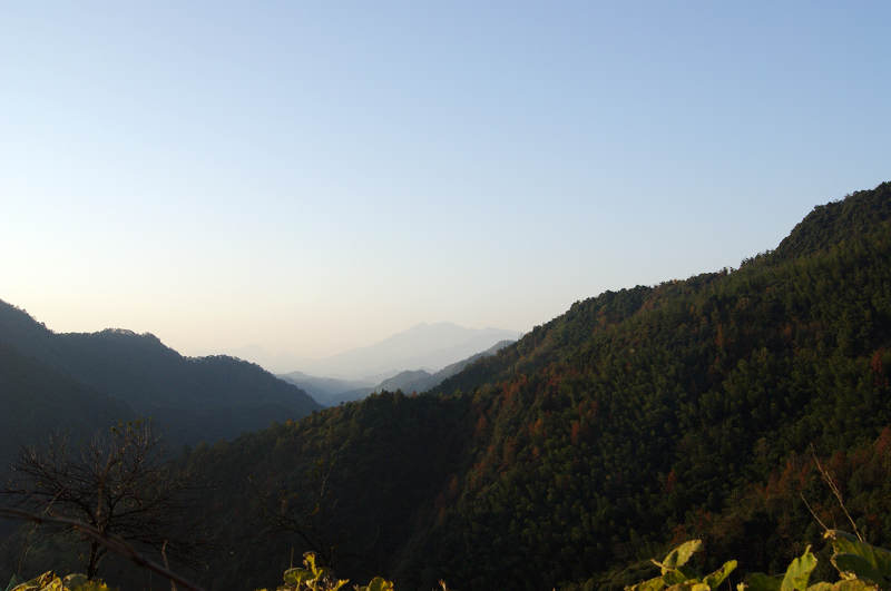 dsc05892.jpg