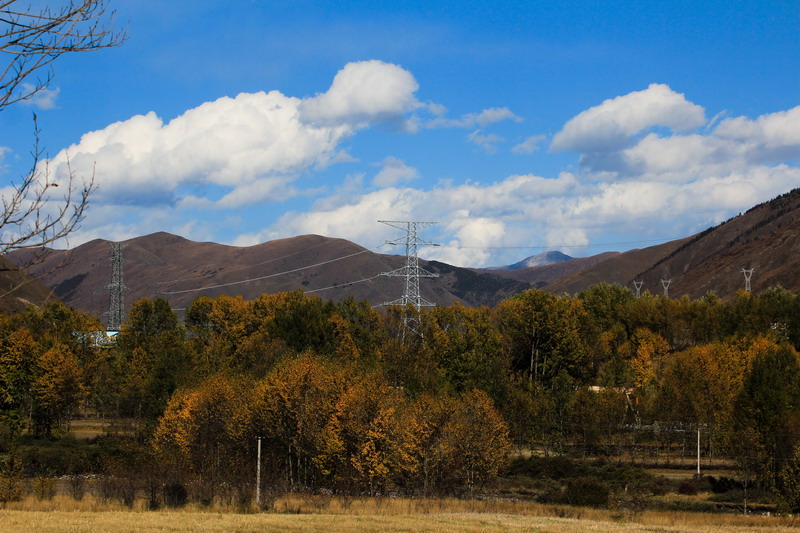 img_1589_СС.jpg