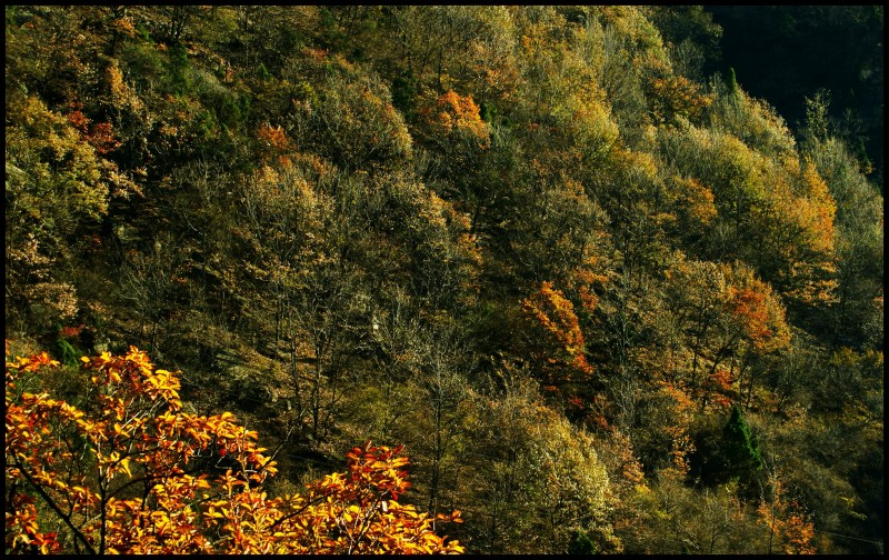 conew_dsc06152_conew2.jpg