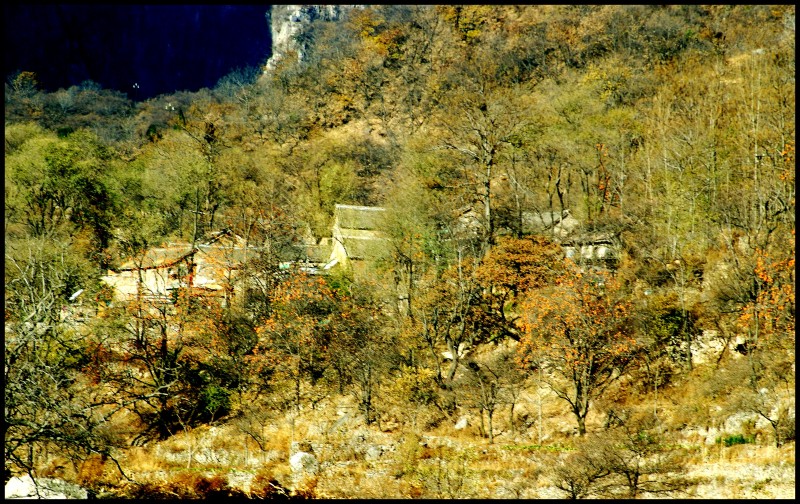 conew_dsc06215_conew1.jpg