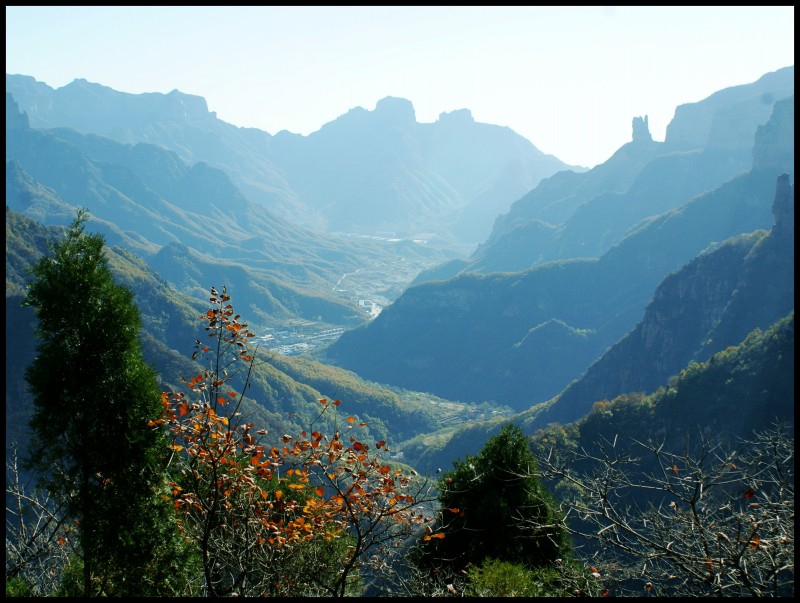 conew_dsc06252_conew1.jpg