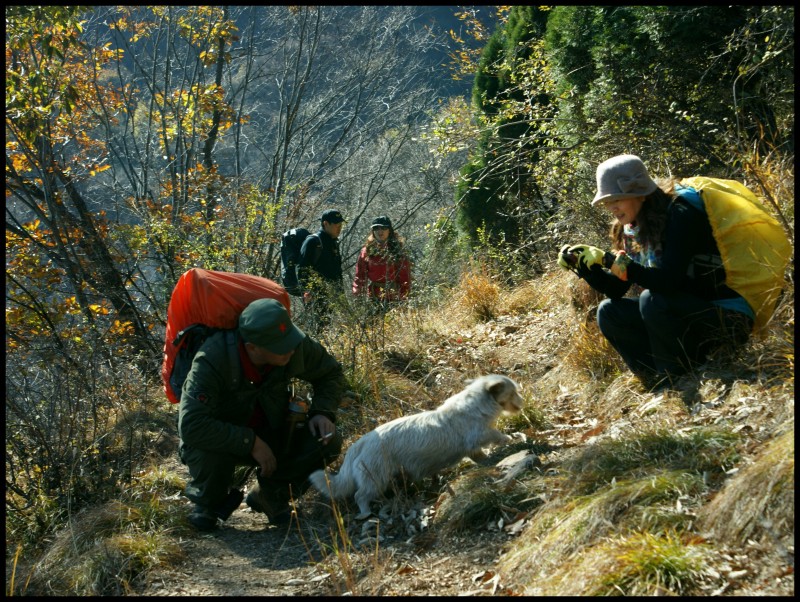 conew_dsc06289_conew1.jpg