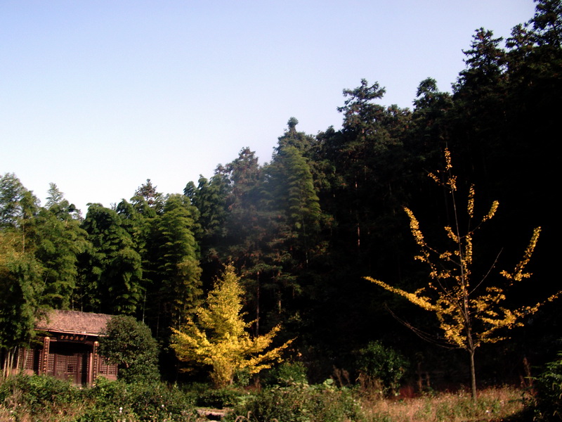 dscf0054.jpg
