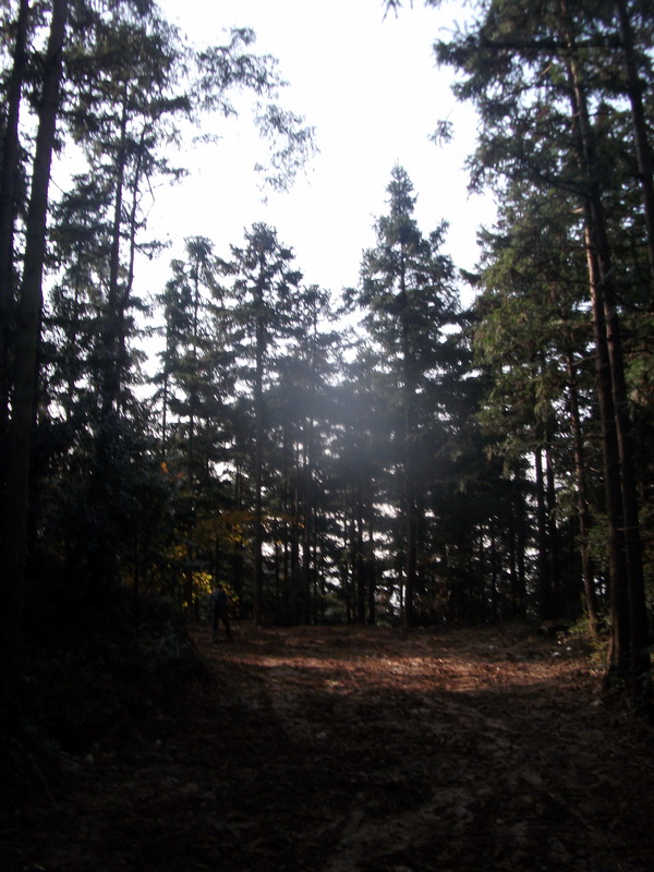 dscf0058.jpg