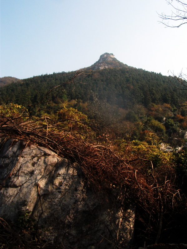 dscf0060.jpg