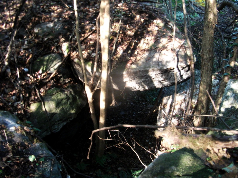 dscf0061.jpg