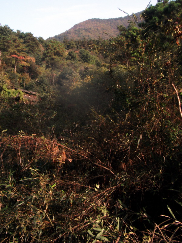 dscf0065.jpg