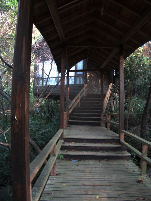 dscf0068.jpg