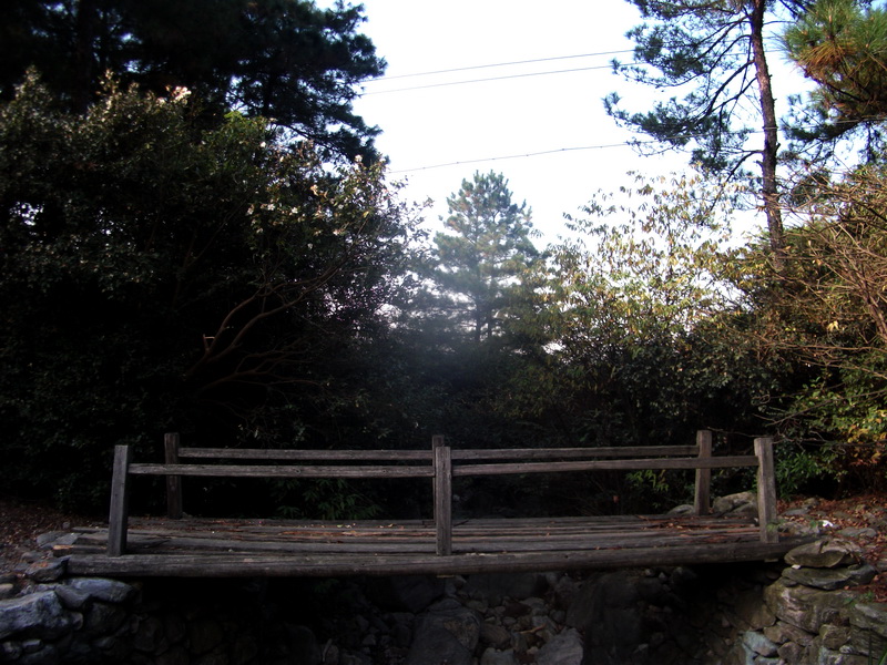 dscf0071.jpg