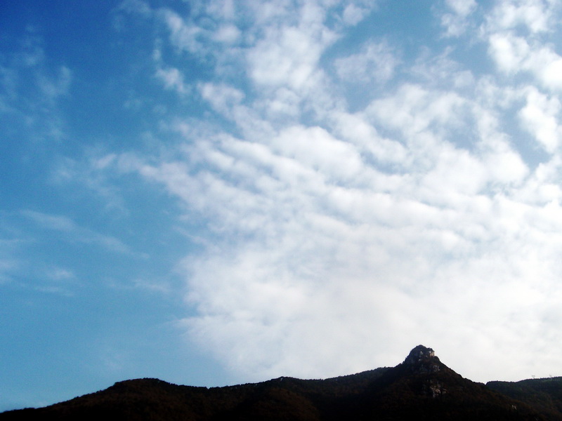 dscf0074.jpg