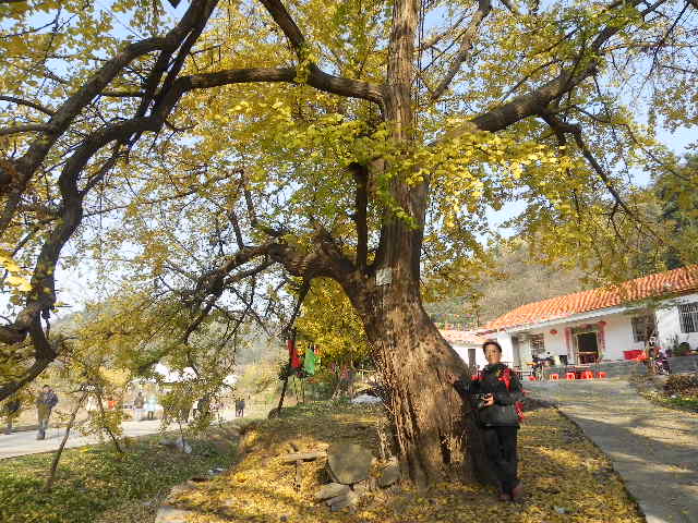 dscn1821.jpg