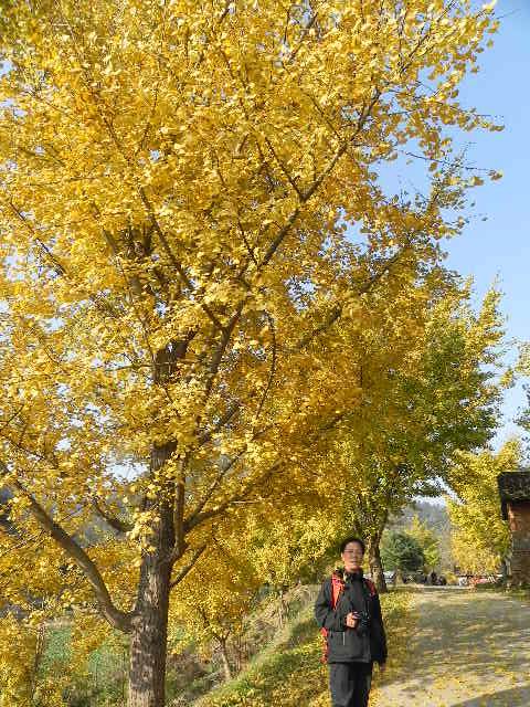 dscn1826.jpg
