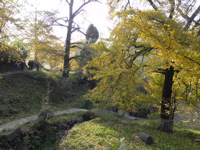 dscn1835.jpg