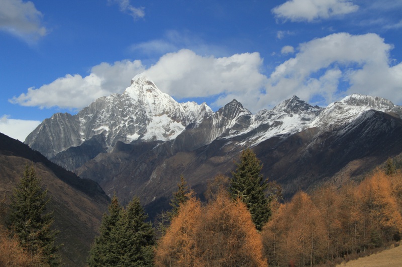 img_6780.jpg