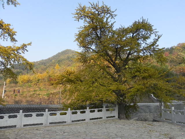 dscn1842.jpg