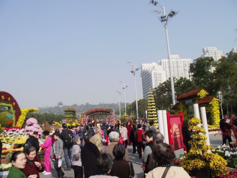 dscf5180kk.jpg