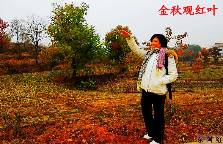 dscn9013.jpg
