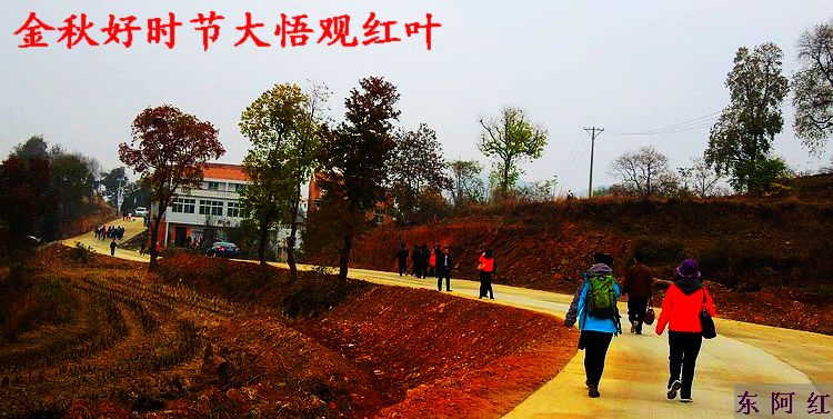 dscn9016.jpg