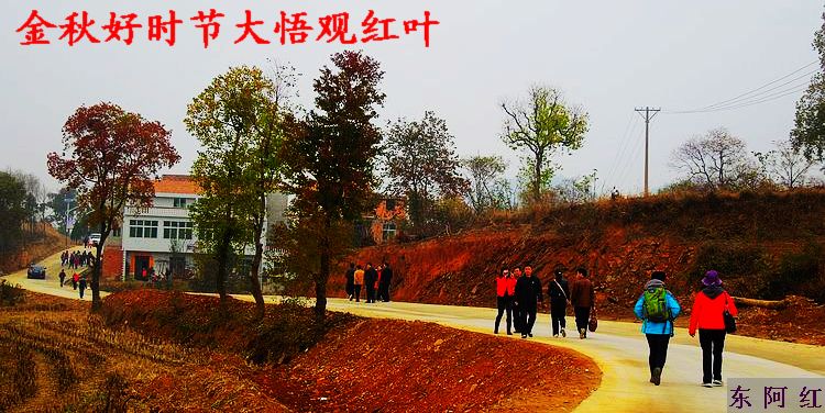 dscn9017.jpg