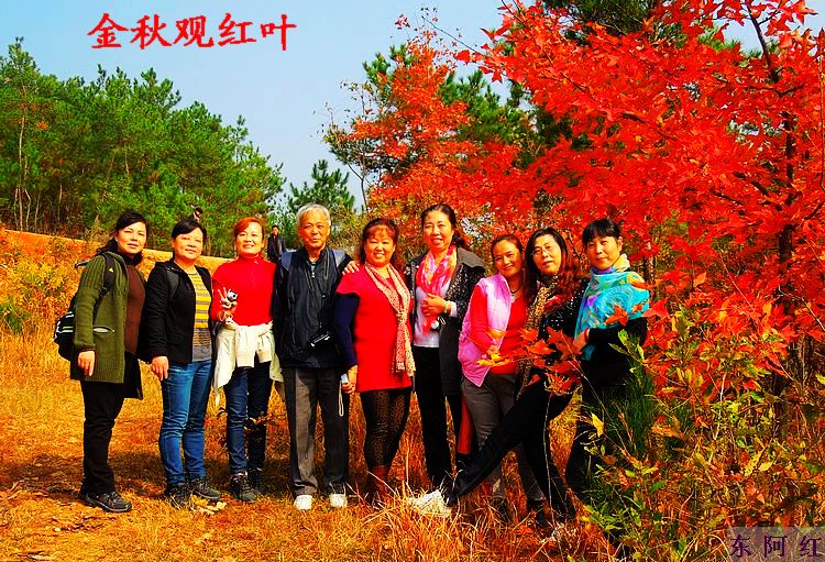 dscn9127.jpg