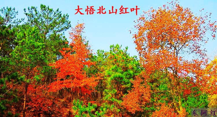dscn9144.jpg