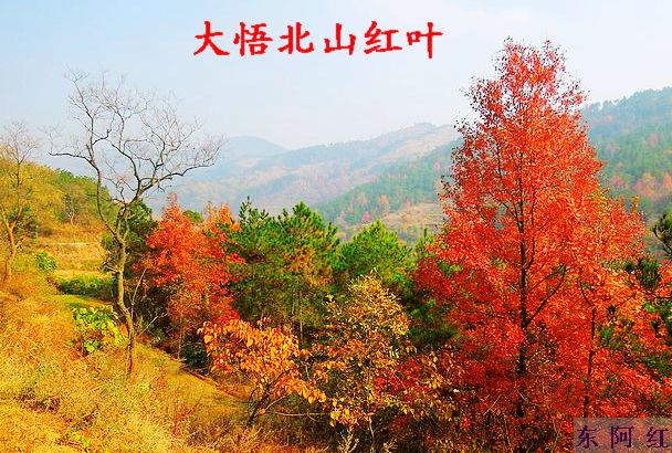 dscn9145.jpg