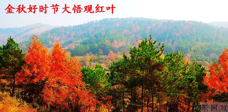 dscn9148.jpg