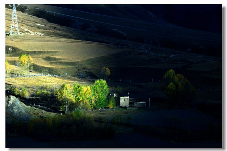 222737tblbljp8xb2fqldx.jpg.thumb_СС.jpg