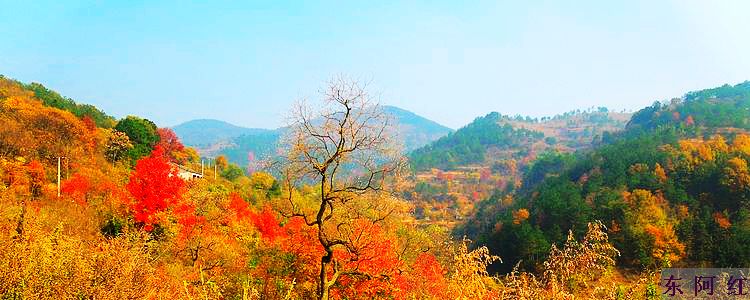 dscn9180.jpg