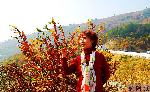 dscn9217.jpg