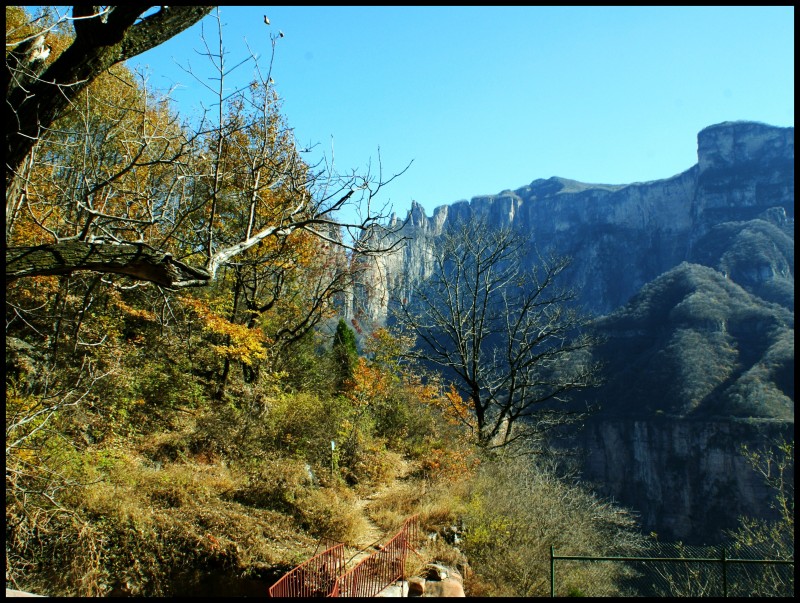 conew_dsc06386_conew1.jpg