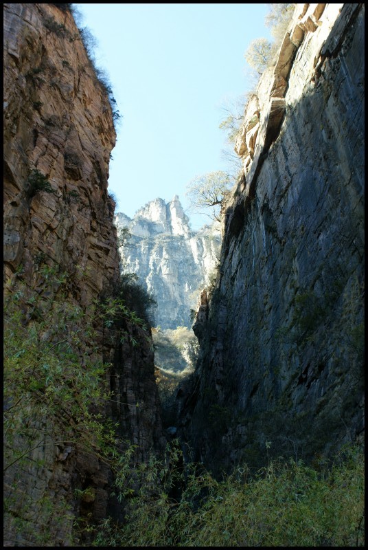 conew_dsc06394_conew1.jpg