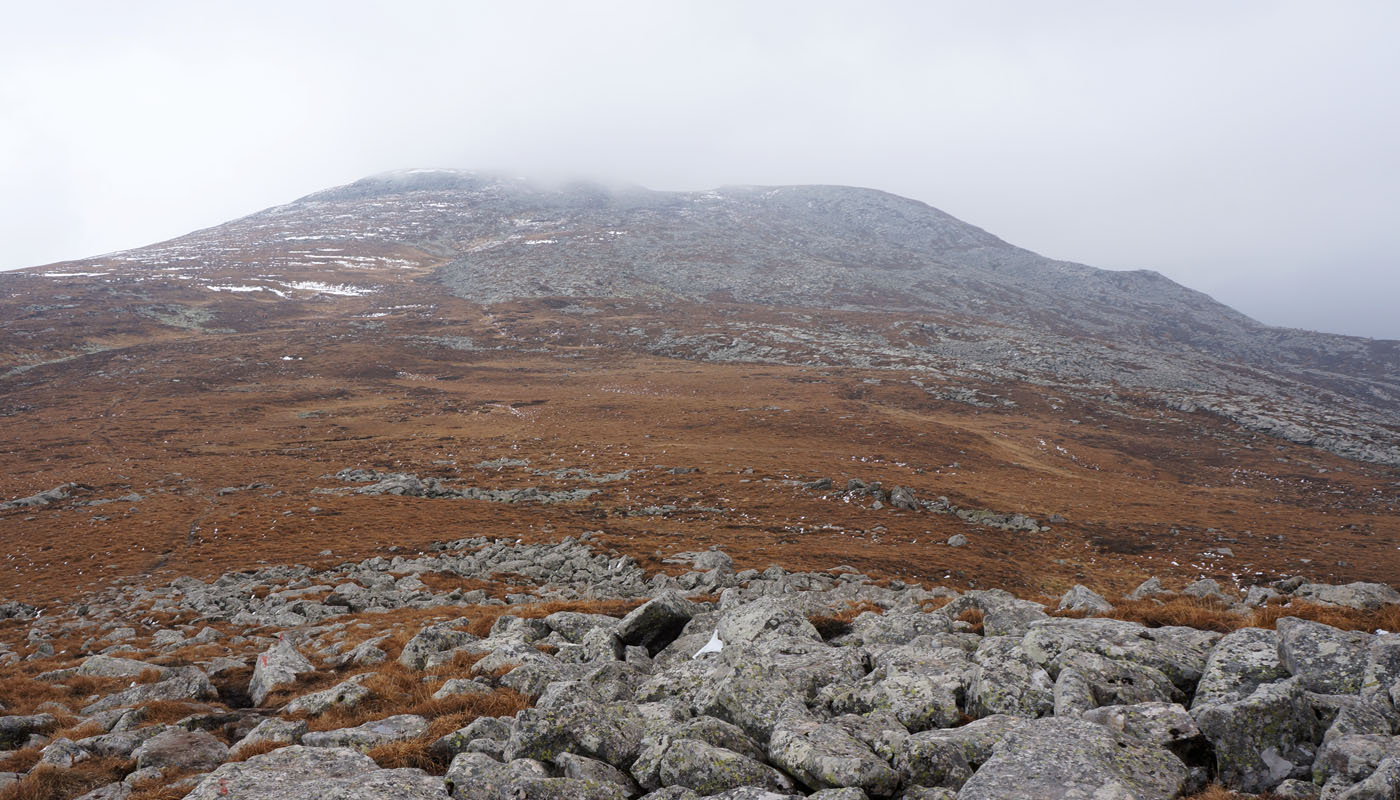 dsc01480.jpg