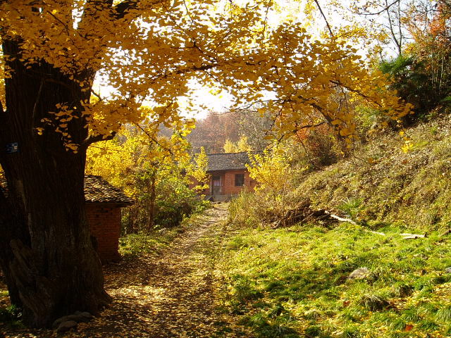 p1012316.jpg