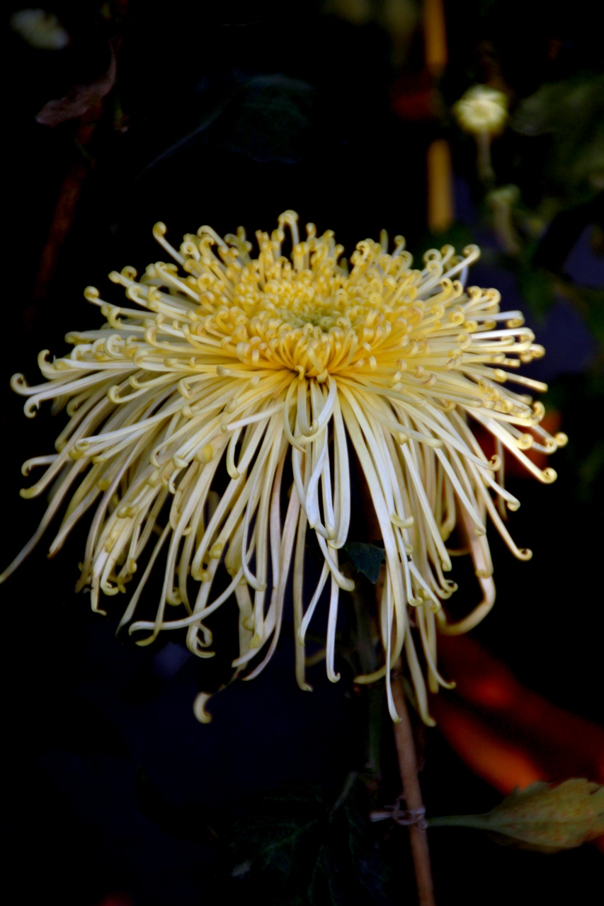 img_0024.jpg