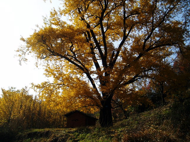 p1012329.jpg