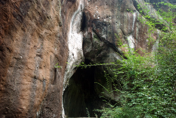 dsc_0460.jpg