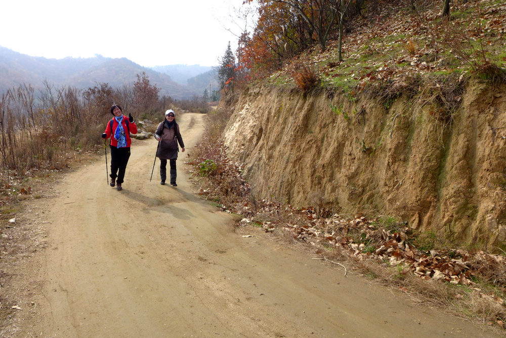 p1030581.jpg