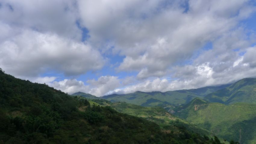 p1010549.jpg