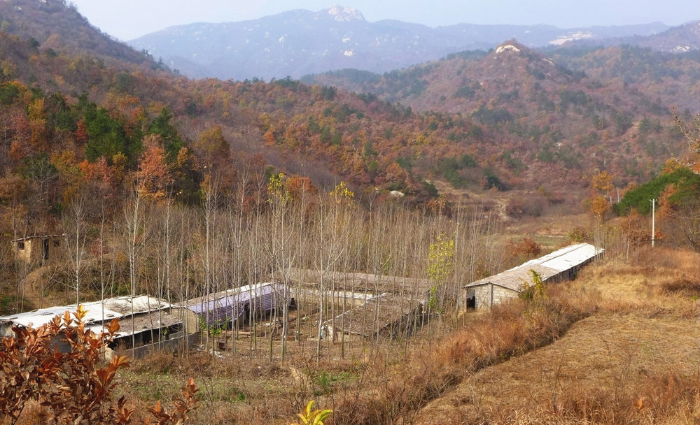 p1030598.jpg