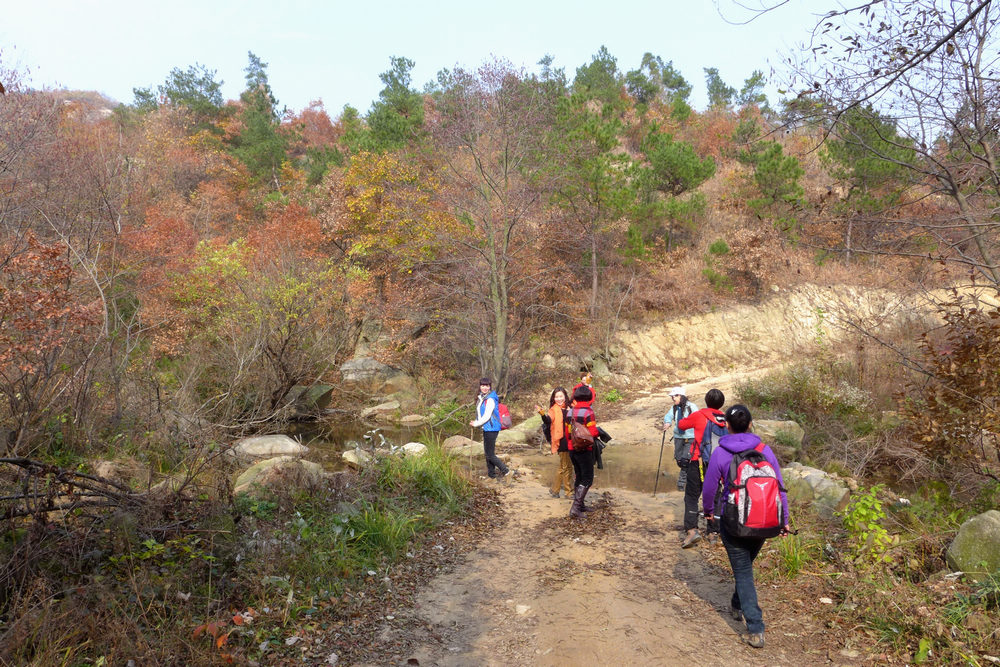 p1030642.jpg