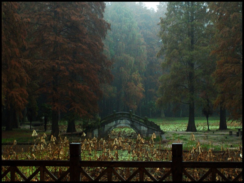 conew_dsc06565_conew1.jpg