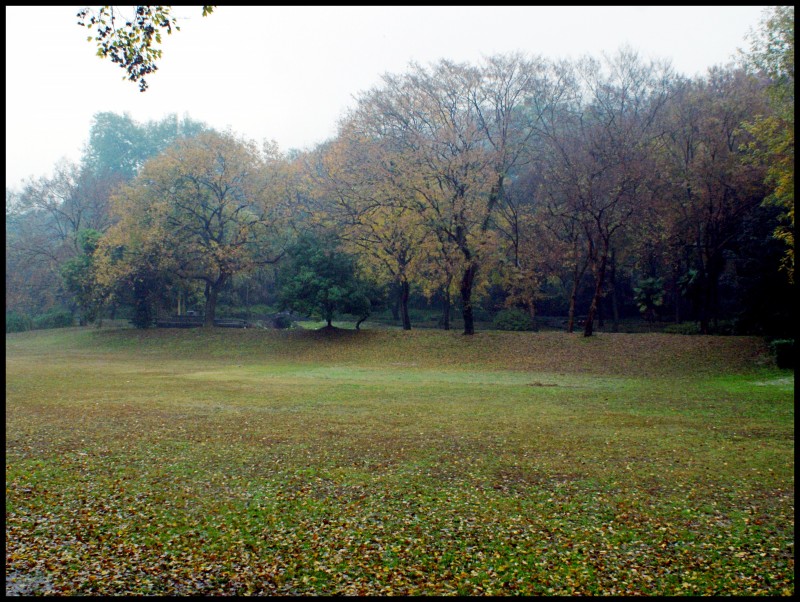 conew_dsc06574_conew1.jpg