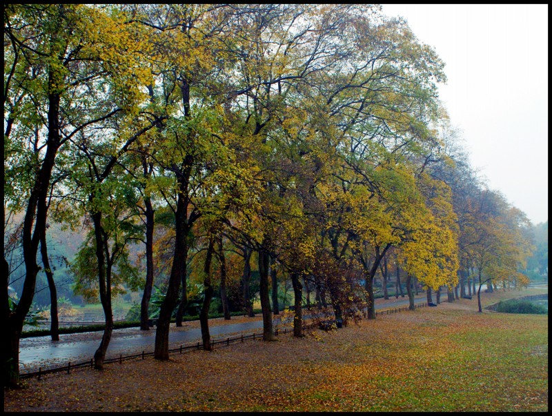 conew_dsc06576_conew1.jpg