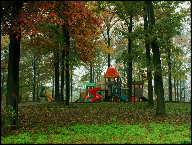 conew_dsc06639_conew1.jpg