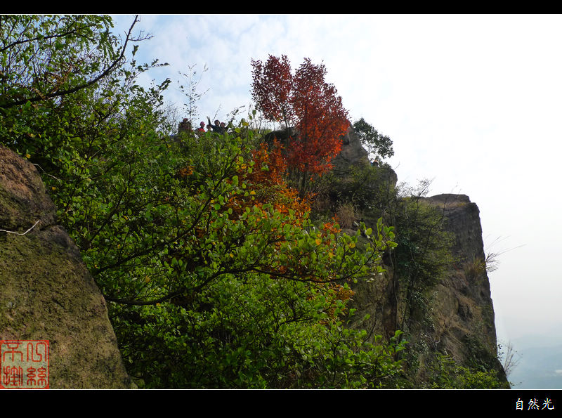 l1390586.jpg