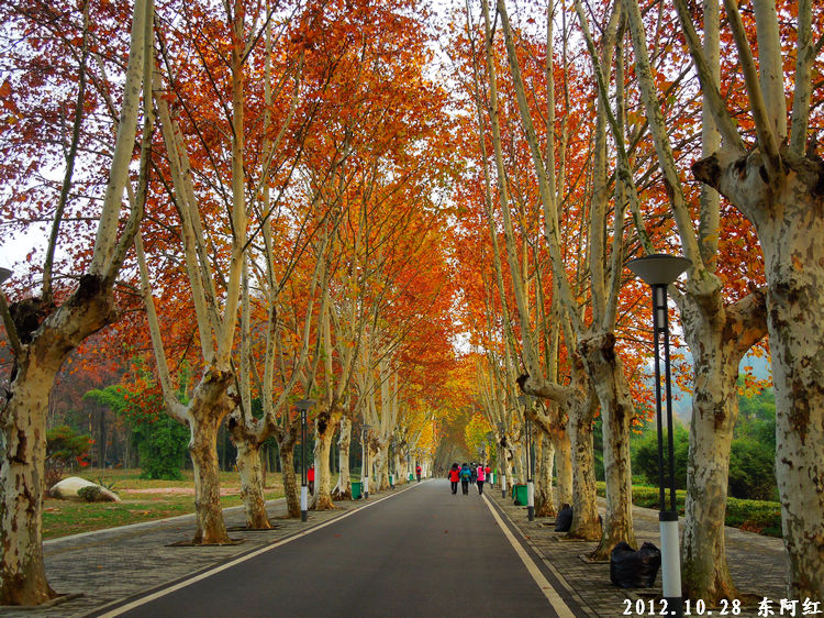dscn9462.jpg