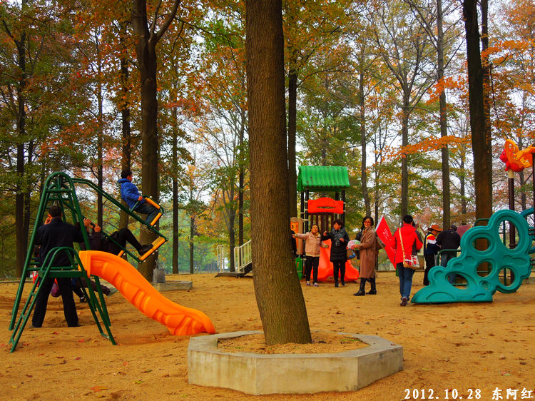 dscn9468.jpg